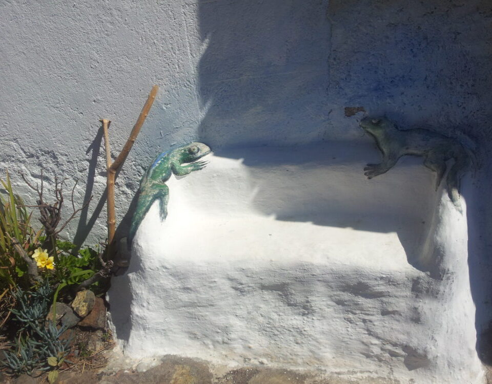 Online Beratung Frauengesundheit und Kinderwunsch - Heilpraktikerin Dipl.-Psych. Iris Lemke Heilpraktikerin für Frauenheilkunde in Berlin