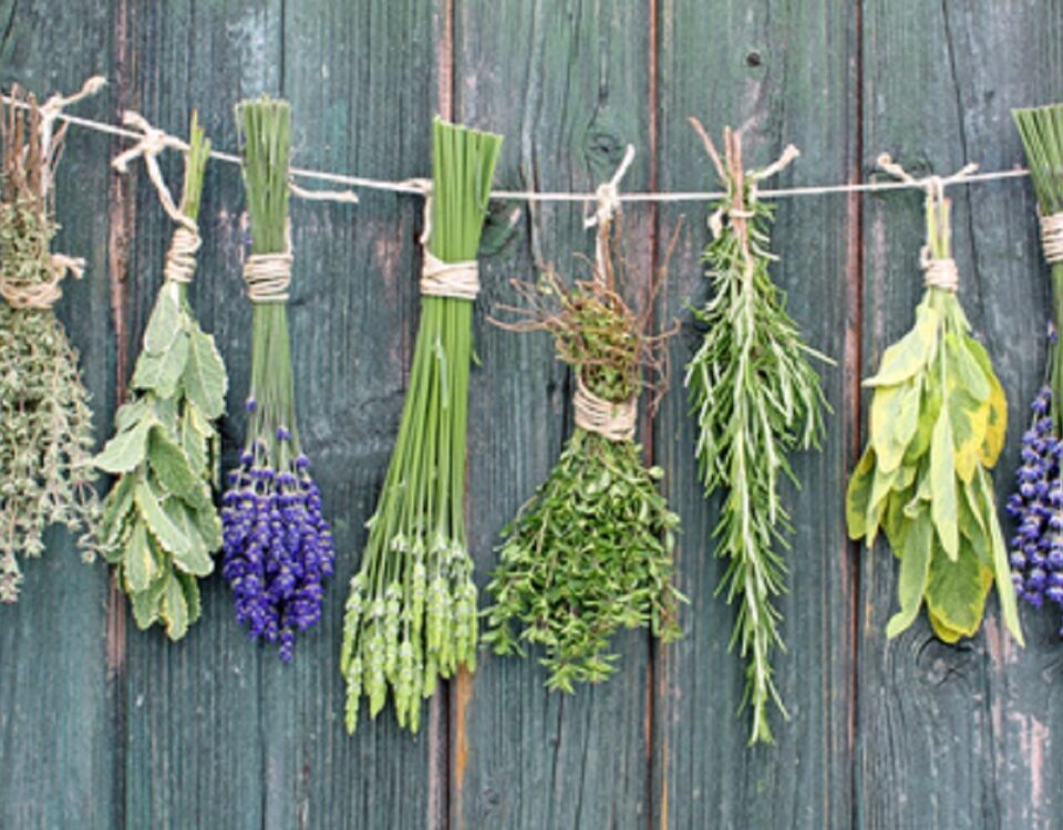 Frauengesundheit und Kinderwunsch - Heilpraktikerin Dipl.-Psych. Iris Lemke Heilpraktikerin für Frauenheilkunde in BerlinAntiviraler Schutz