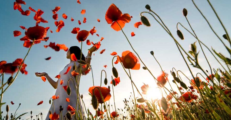 Iris Lemke – Praxis für Naturheilkunde – Frauengesundheit und Kinderwunsch