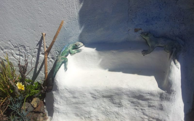 Online Beratung Frauengesundheit und Kinderwunsch - Heilpraktikerin Dipl.-Psych. Iris Lemke Heilpraktikerin für Frauenheilkunde in Berlin