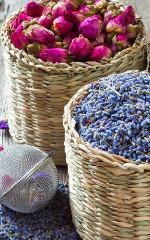 fg_-behandlungskonzept_1_1000x500px