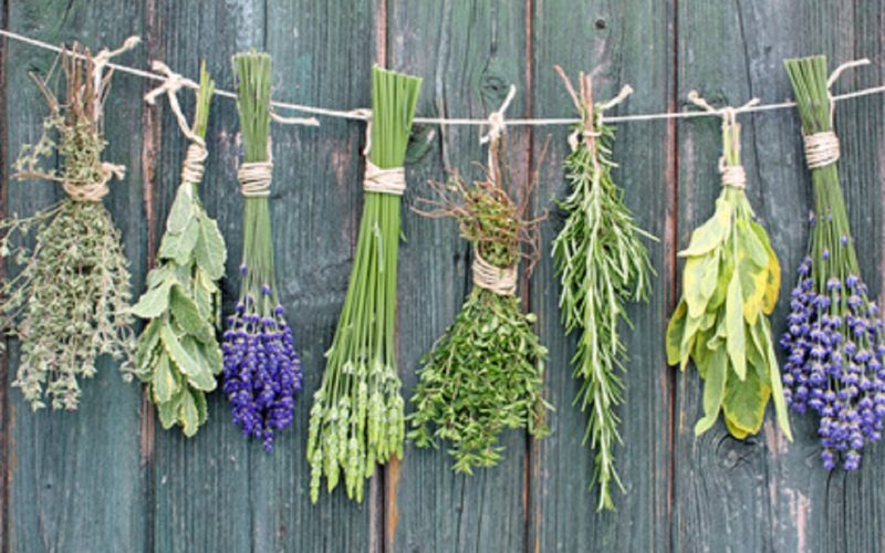 Frauengesundheit und Kinderwunsch - Heilpraktikerin Dipl.-Psych. Iris Lemke Heilpraktikerin für Frauenheilkunde in BerlinAntiviraler Schutz