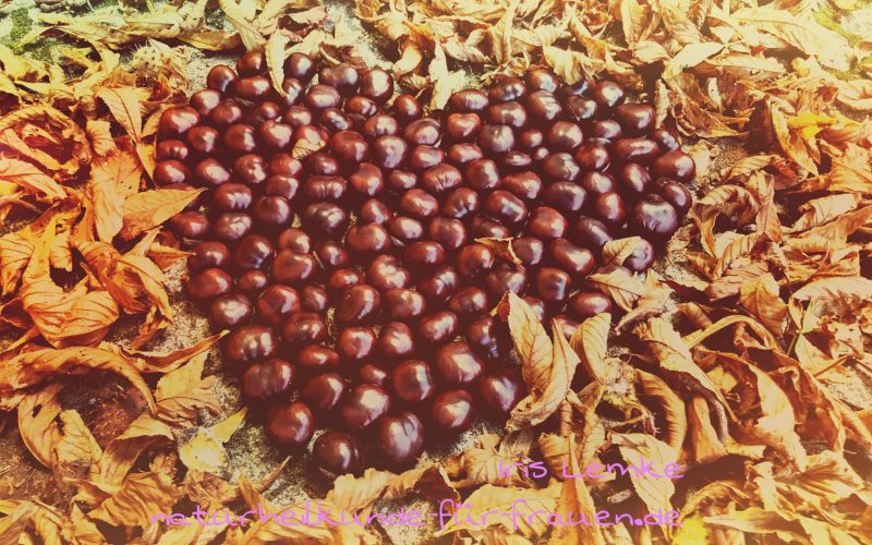 Rosskastanie Frauengesundheit und Kinderwunsch - Heilpraktikerin Dipl.-Psych. Iris Lemke Heilpraktikerin für Frauenheilkunde in Berlin