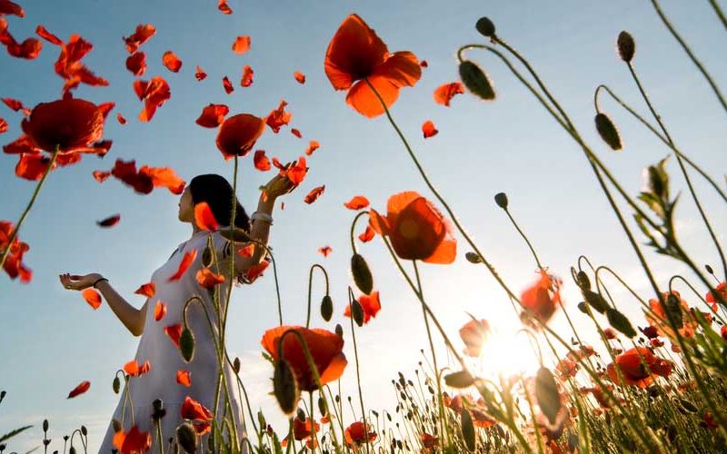 Iris Lemke – Praxis für Naturheilkunde – Frauengesundheit und Kinderwunsch