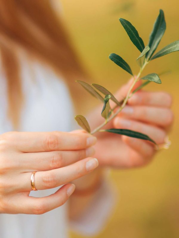 olive-branch-tender-female-hands